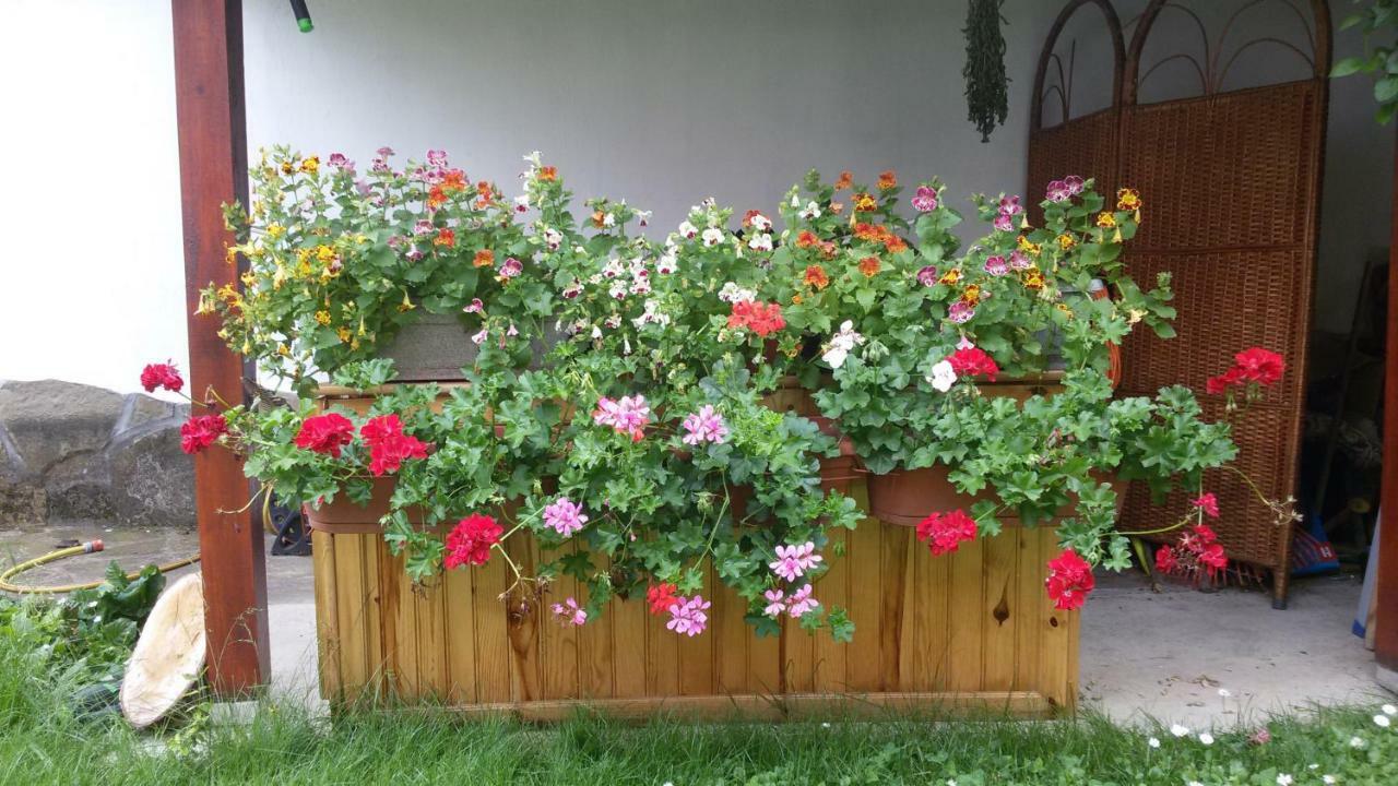 Borova House Hotel Tryavna Luaran gambar