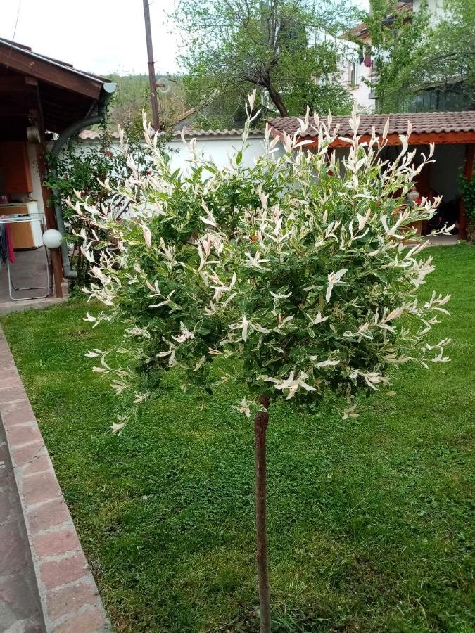 Borova House Hotel Tryavna Luaran gambar